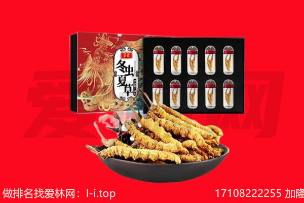 昌都江达县回收虫草.jpg